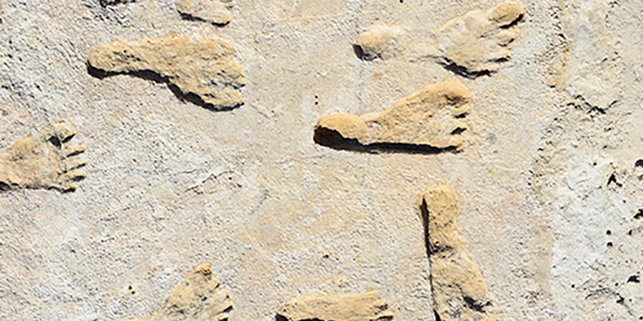 Footprints Yield New Clues About the First Americans