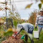 Why Cider Is What We’re Drinking Now