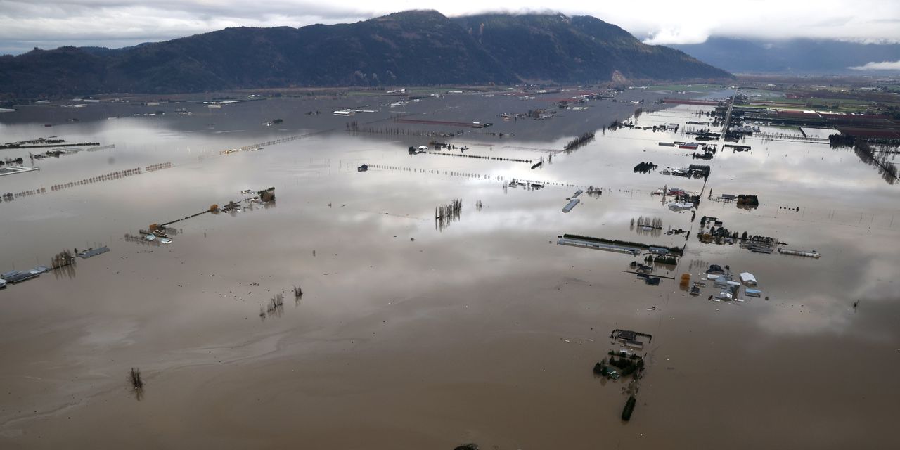 British Columbia Flood Lifts Lumber Prices