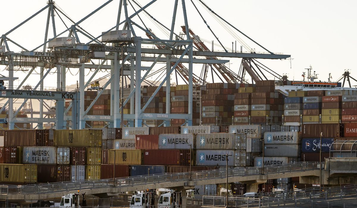 Cargo ship backup worsens after Joe Biden attempts to untangle supply chain