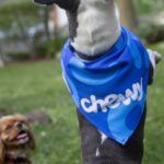 Chewy Needs to Teach Itself More Tricks