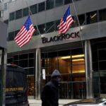 BlackRock’s Climate Stance Is About Profits, Not Politics, Fink Says