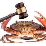 When Online Shoppers Feel Cheated, It’s Time to Go to Crab Court