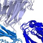 DeepMind AI Lab Predicts Structure of Most Proteins