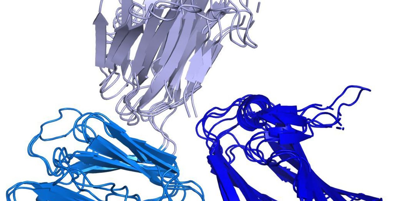 DeepMind AI Lab Predicts Structure of Most Proteins