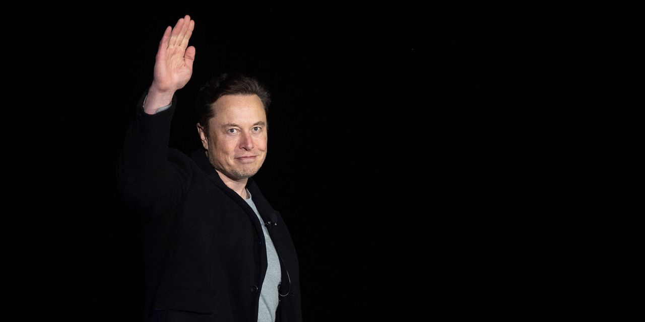 Elon Musk and Twitter Each Face Challenge to Define What Makes an Account Fake