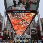 Pro-Beijing Online Campaign Targets U.S.-Based Xinjiang Researcher, Cybersecurity Firm Says