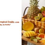 Organic Tropical Fruits, LLC is thrilled to unveil its highly anticipated website, https://OrganicTropicalFruits.com, a haven for organic fruit and vegetable enthusiasts seeking the freshest and most flavorful produce sourced from tropical paradises worldwide.